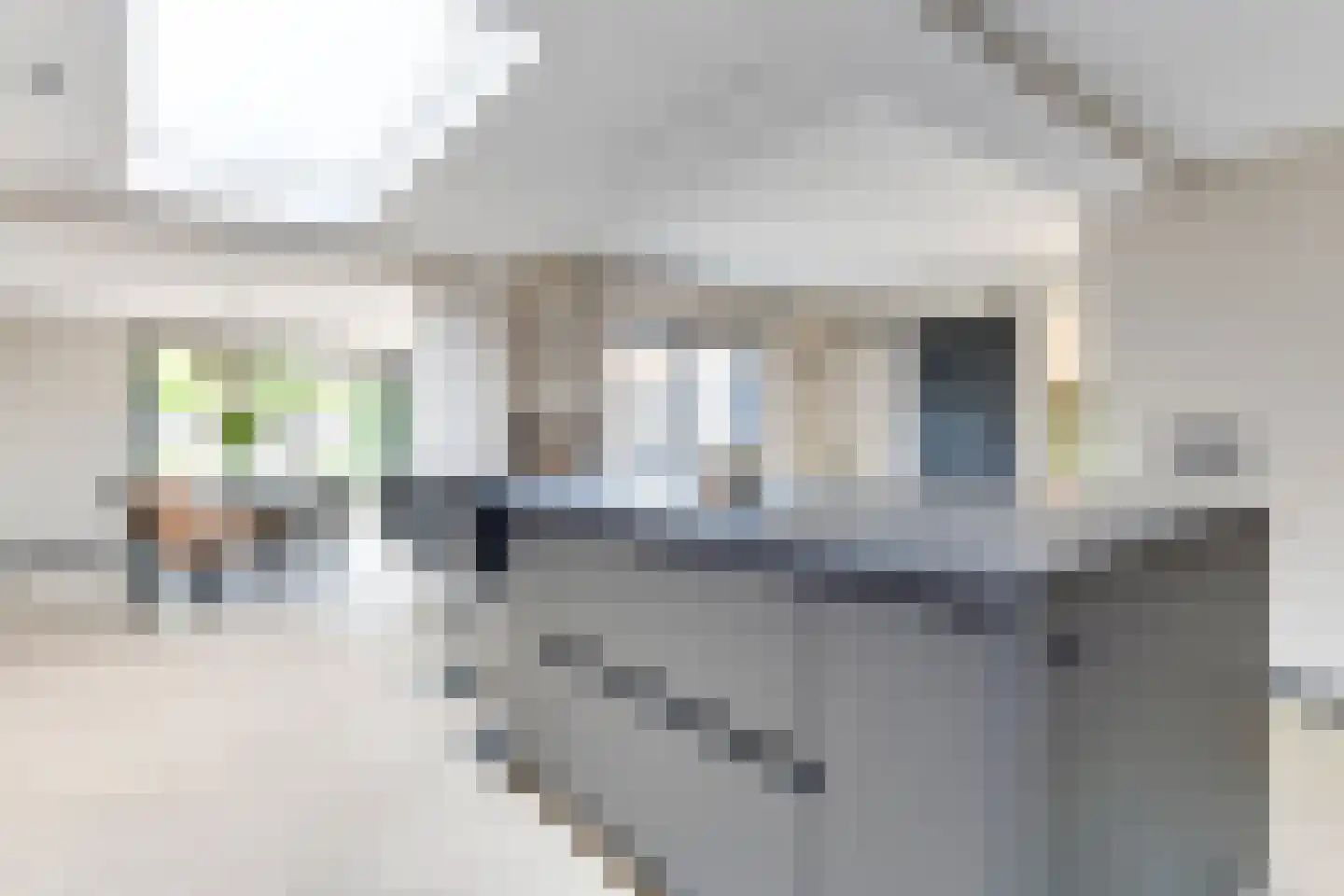 Schermeerstraat 17 Stompetoren thumbnail 15