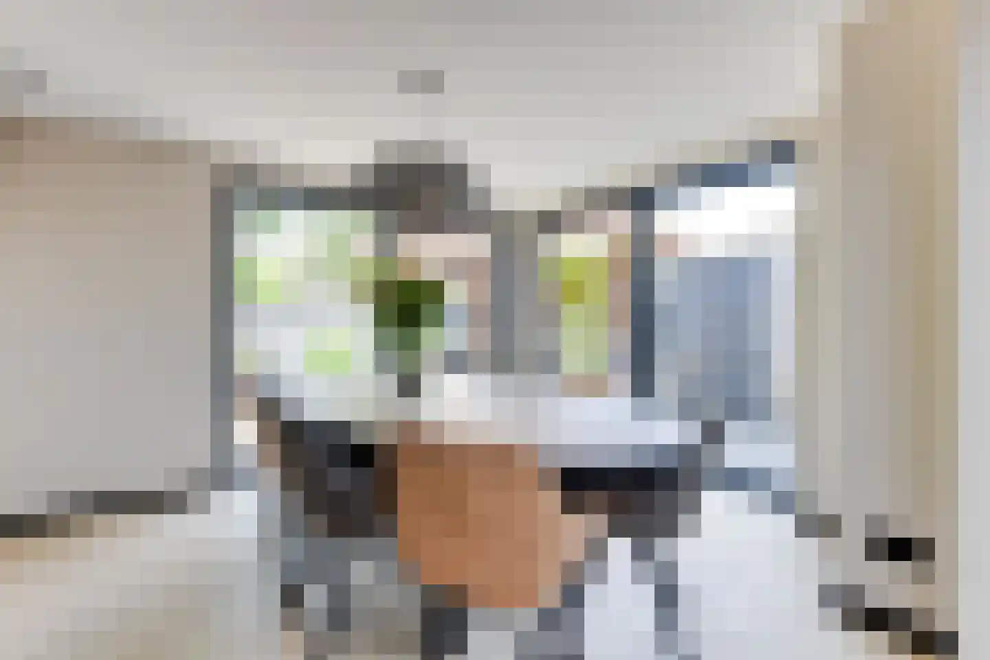 Schermeerstraat 17 Stompetoren thumbnail 16