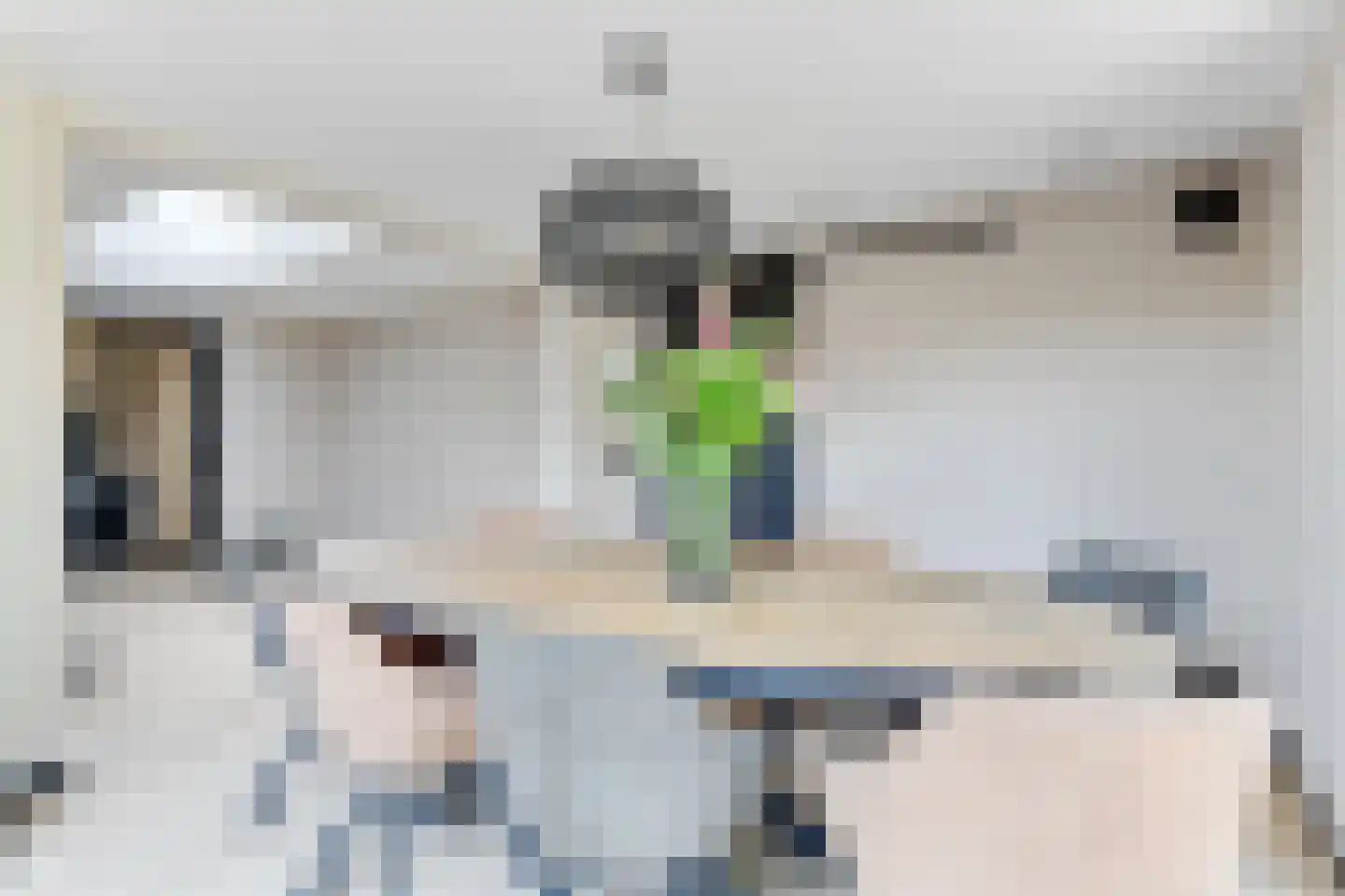 Schermeerstraat 17 Stompetoren thumbnail 18