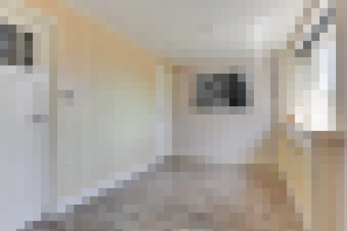 Schermeerstraat 17 Stompetoren thumbnail 26