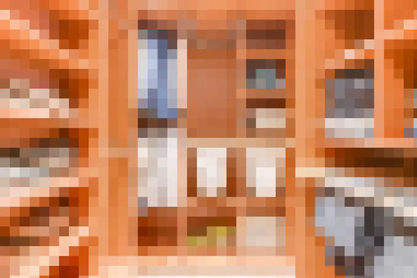 Schermeerstraat 17 Stompetoren thumbnail 31