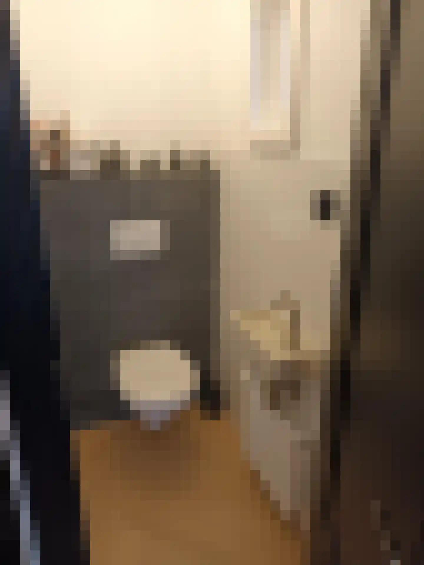 Schermeerstraat 17 Stompetoren thumbnail 7
