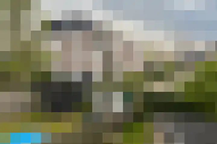 Schermeerstraat 44 Stompetoren thumbnail 13