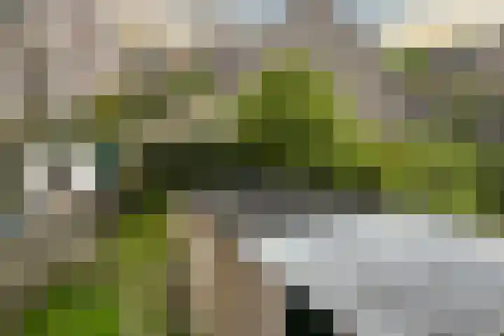 Schermeerstraat 44 Stompetoren thumbnail 14