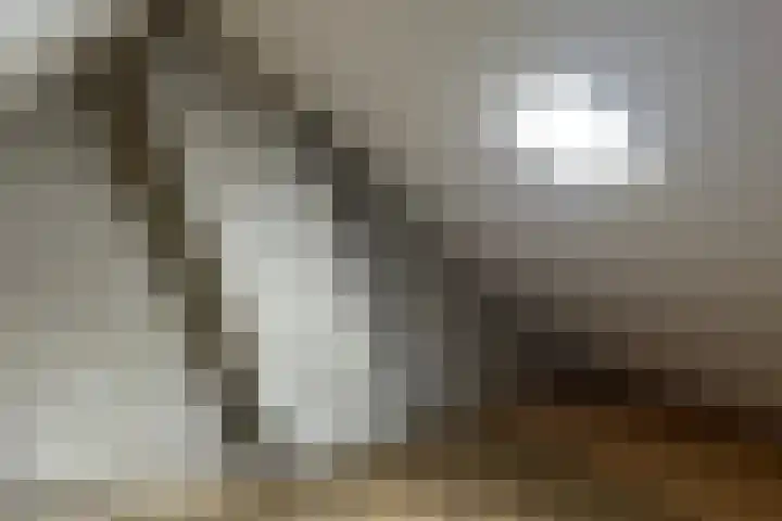 Schermeerstraat 44 Stompetoren thumbnail 17