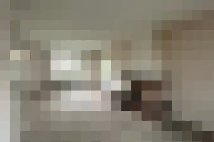 Schermeerstraat 44 Stompetoren thumbnail 5