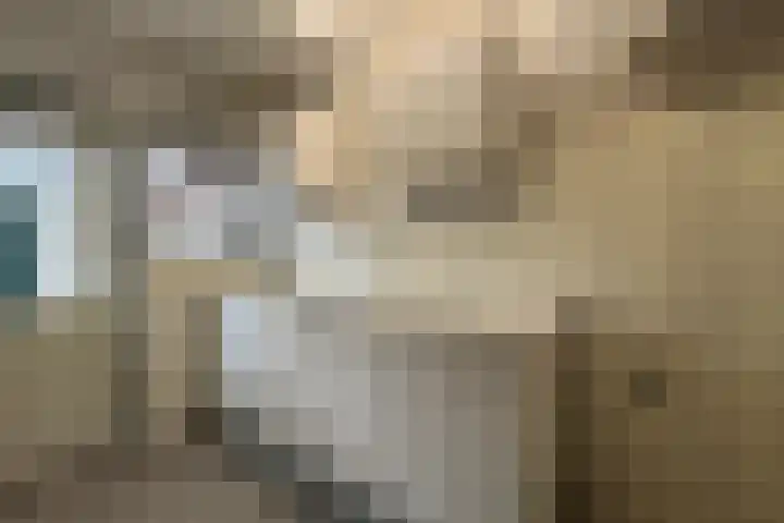 Schermeerstraat 44 Stompetoren thumbnail 6