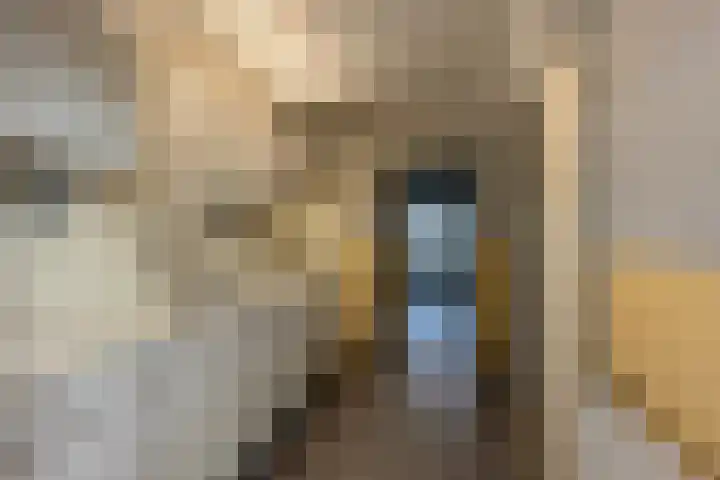 Schermeerstraat 44 Stompetoren thumbnail 7