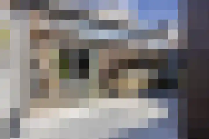 Schermeerstraat 7 Alkmaar thumbnail 25