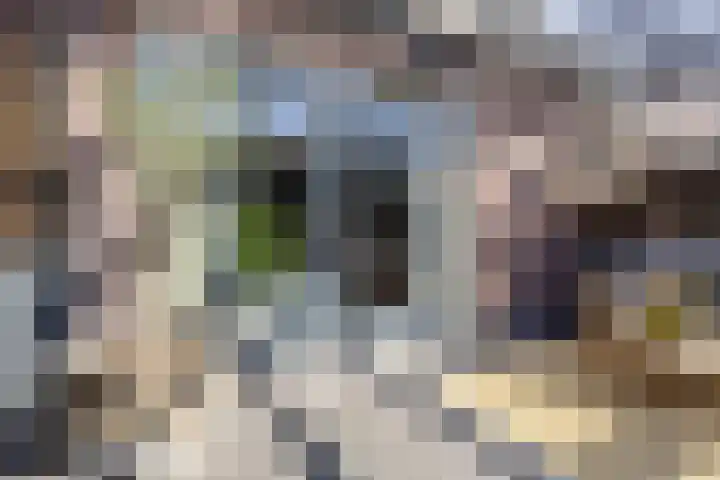 Schermeerstraat 7 Alkmaar thumbnail 28