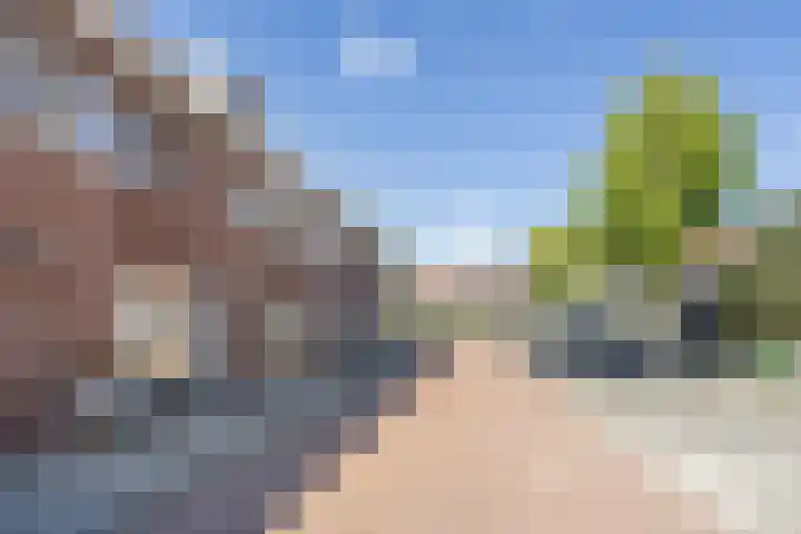 Schermeerstraat 7 Alkmaar thumbnail 31