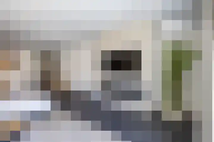 Schermeerstraat 7 Alkmaar thumbnail 5