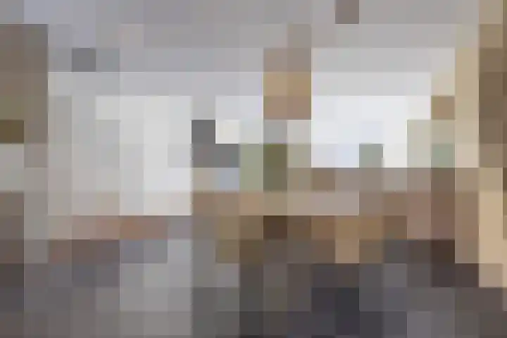 Schermeerstraat 7 Alkmaar thumbnail 6