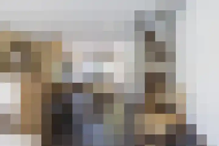 Schermeerstraat 7 Alkmaar thumbnail 7