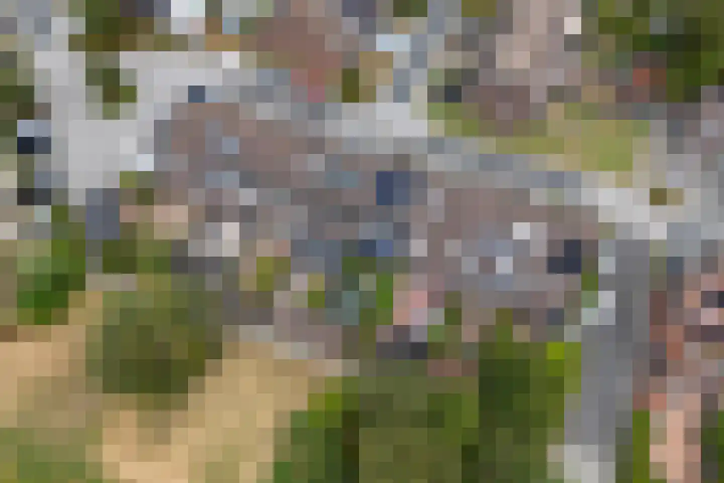 Schermer 120 Lelystad thumbnail 41