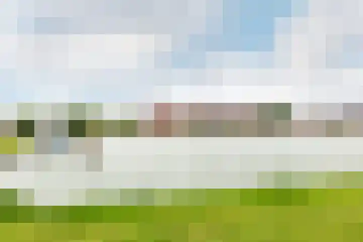 Schermer 22 Lelystad thumbnail 32