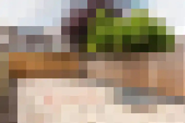 Schermer 22 Lelystad thumbnail 6