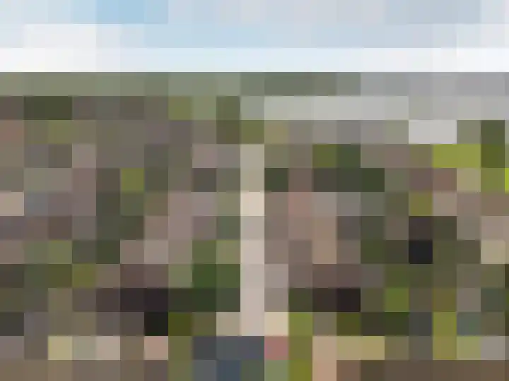 Schermer 22 Lelystad thumbnail 7