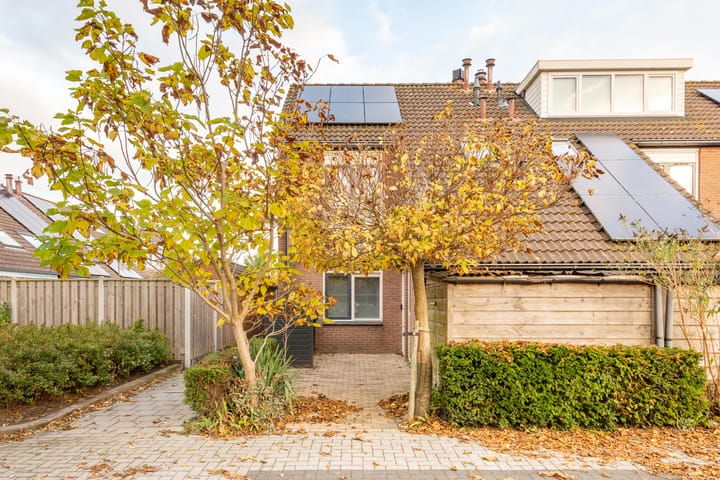 Schermer 63 in Lelystad Foto