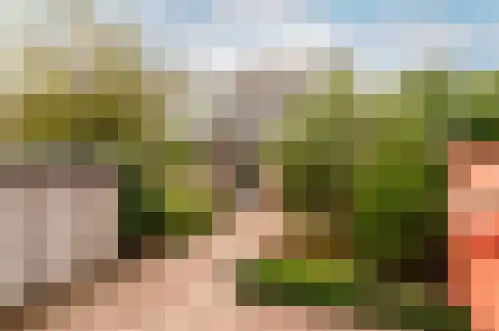 Schermer 63 Lelystad thumbnail 31