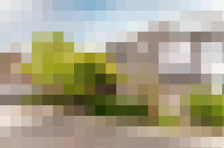 Schermer 63 Lelystad thumbnail 34