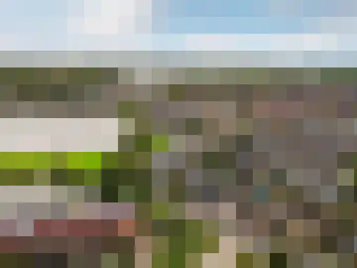 Schermer 63 Lelystad thumbnail 38