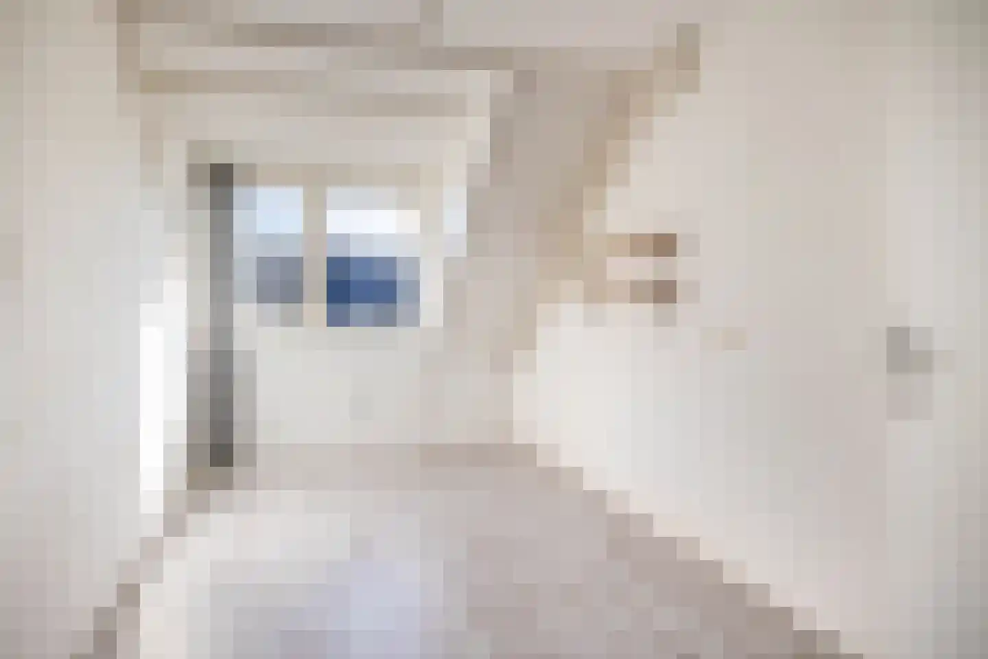 Schermer 91 Lelystad thumbnail 33