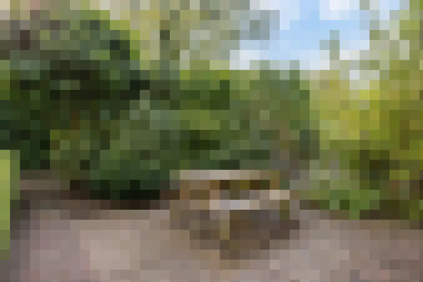 Schermerhorn-lanen 23 Woerden thumbnail 38