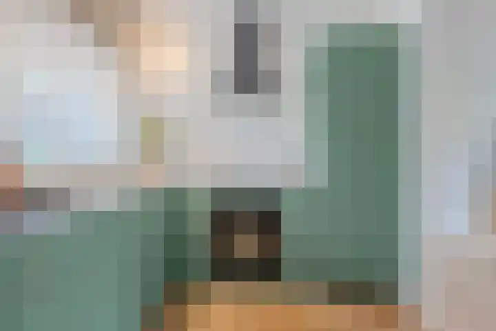 Schermerhornstraat 15 Oosterhout thumbnail 10