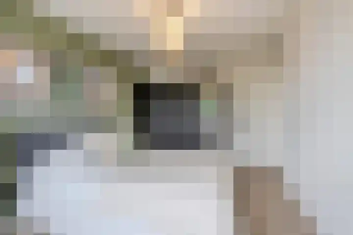 Schermerhornstraat 15 Oosterhout thumbnail 19