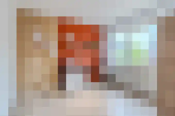 Schermerhornstraat 15 Oosterhout thumbnail 22