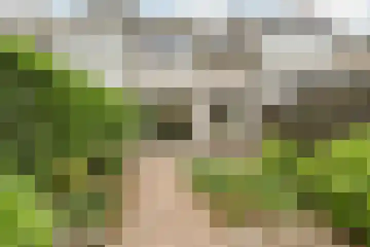 Schermerhornstraat 15 Oosterhout thumbnail 28