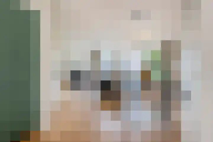 Schermerhornstraat 15 Oosterhout thumbnail 9