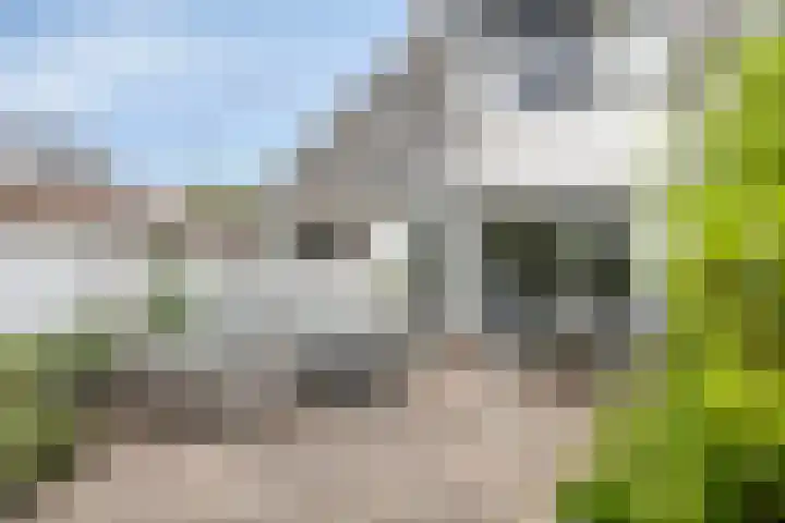 Schermerhornstraat 19 Oosterhout thumbnail 30