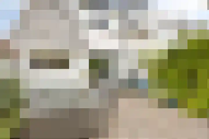 Schermerhornstraat 19 Oosterhout thumbnail 32