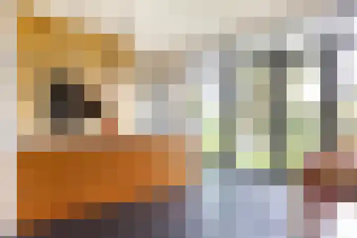 Schermerhornstraat 33 Utrecht thumbnail 12