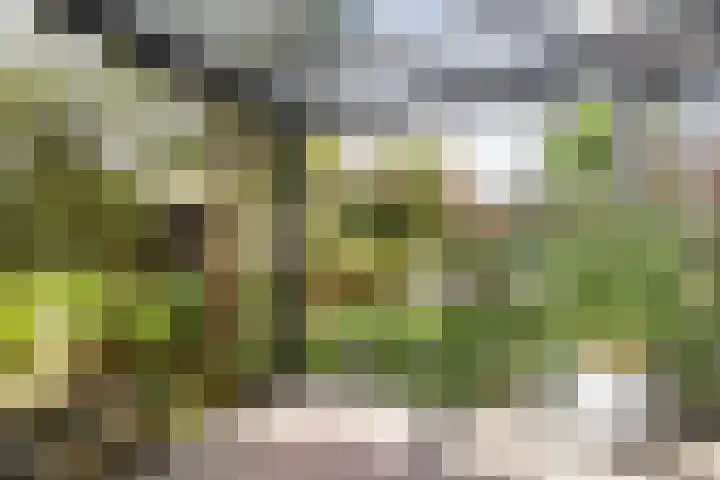 Schermerhornstraat 33 Utrecht thumbnail 4