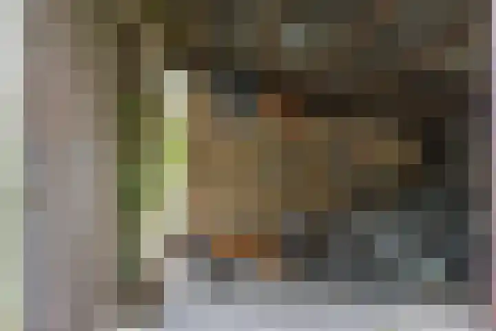 Schermerhornstraat 33 Utrecht thumbnail 46