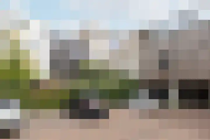 Schermerhornstraat 33 Utrecht thumbnail 49