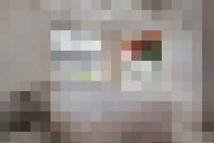 Schermerhornstraat 74 Zwolle thumbnail 31