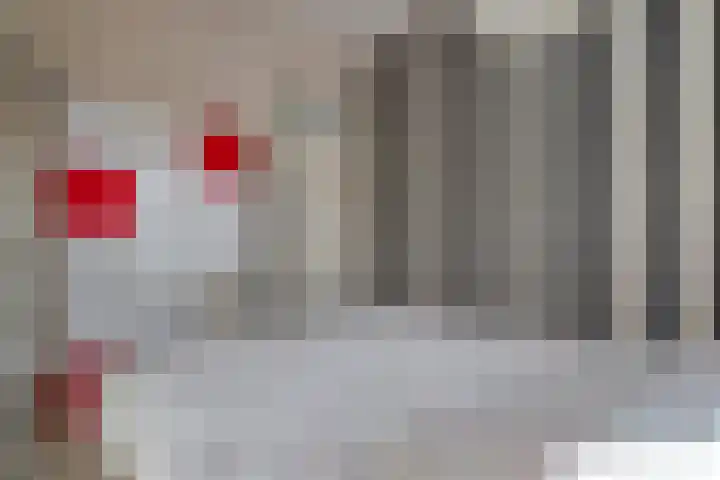 Schermerhornstraat 74 Zwolle thumbnail 32
