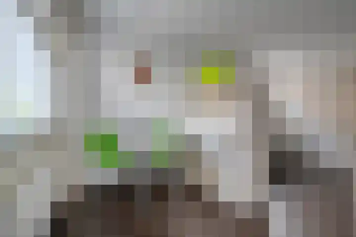 Schermerhornstraat 74 Zwolle thumbnail 35