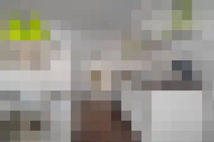 Schermerhornstraat 74 Zwolle thumbnail 37