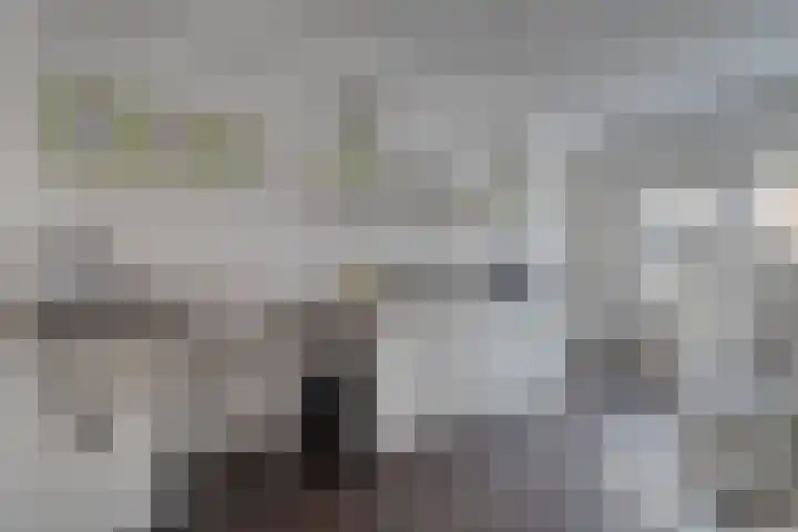 Schermerhornstraat 74 Zwolle thumbnail 38