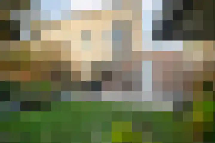 Schermerhornstraat 74 Zwolle thumbnail 43