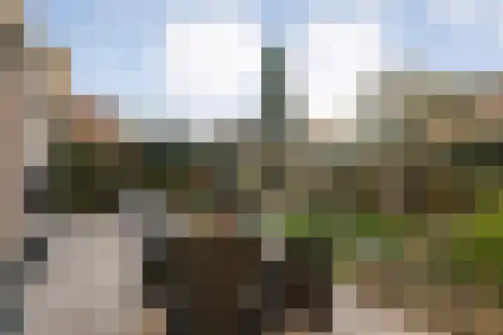 Schermerhornstraat 74 Zwolle thumbnail 44