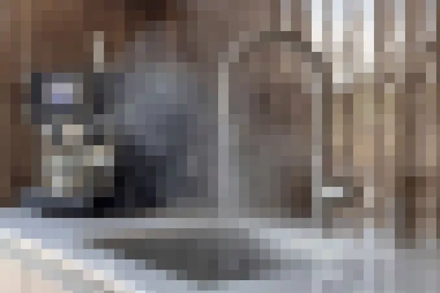 Schermerplein 3 Stompetoren thumbnail 20