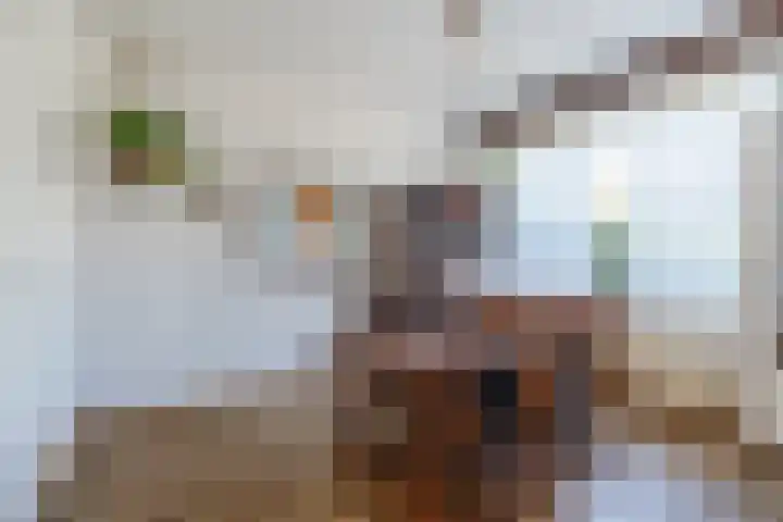 Schermerstraat 14 Eindhoven thumbnail 12