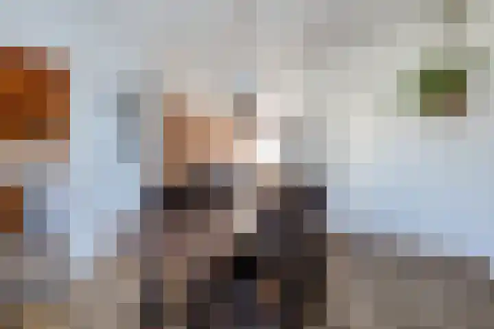 Schermerstraat 14 Eindhoven thumbnail 14