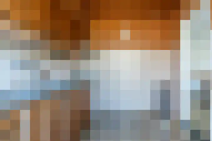 Schermerstraat 14 Eindhoven thumbnail 16